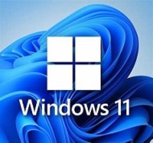 win11